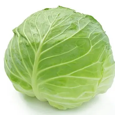 Profile image of キャベツ