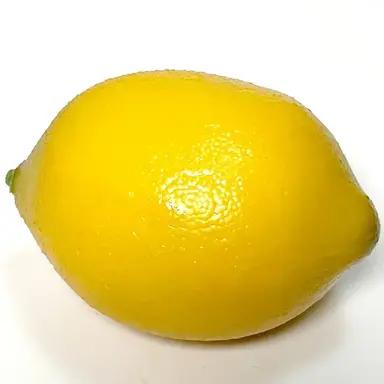 Profile image of レモン