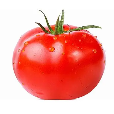 Profile image of トマト