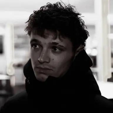 Profile image of Lando Norris