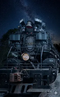 Profile image of Super Choo Choo 1309