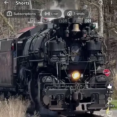 Profile image of Super Choo Choo 1309
