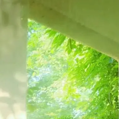Profile image of 정공룡