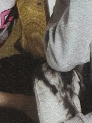 hina_h0000914의 ねこちゃん と わんちゃん