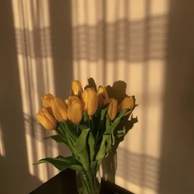 Profile image of 꽥