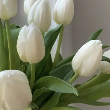 Profile image of 소멸