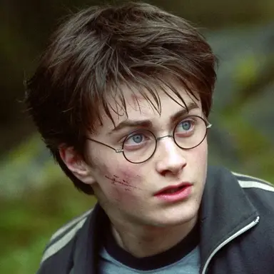 Profile image of Harry James Potter