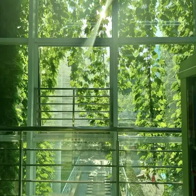 Profile image of 정형준