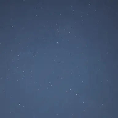Profile image of 타테스 발타자르