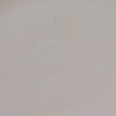 Profile image of 팀대고