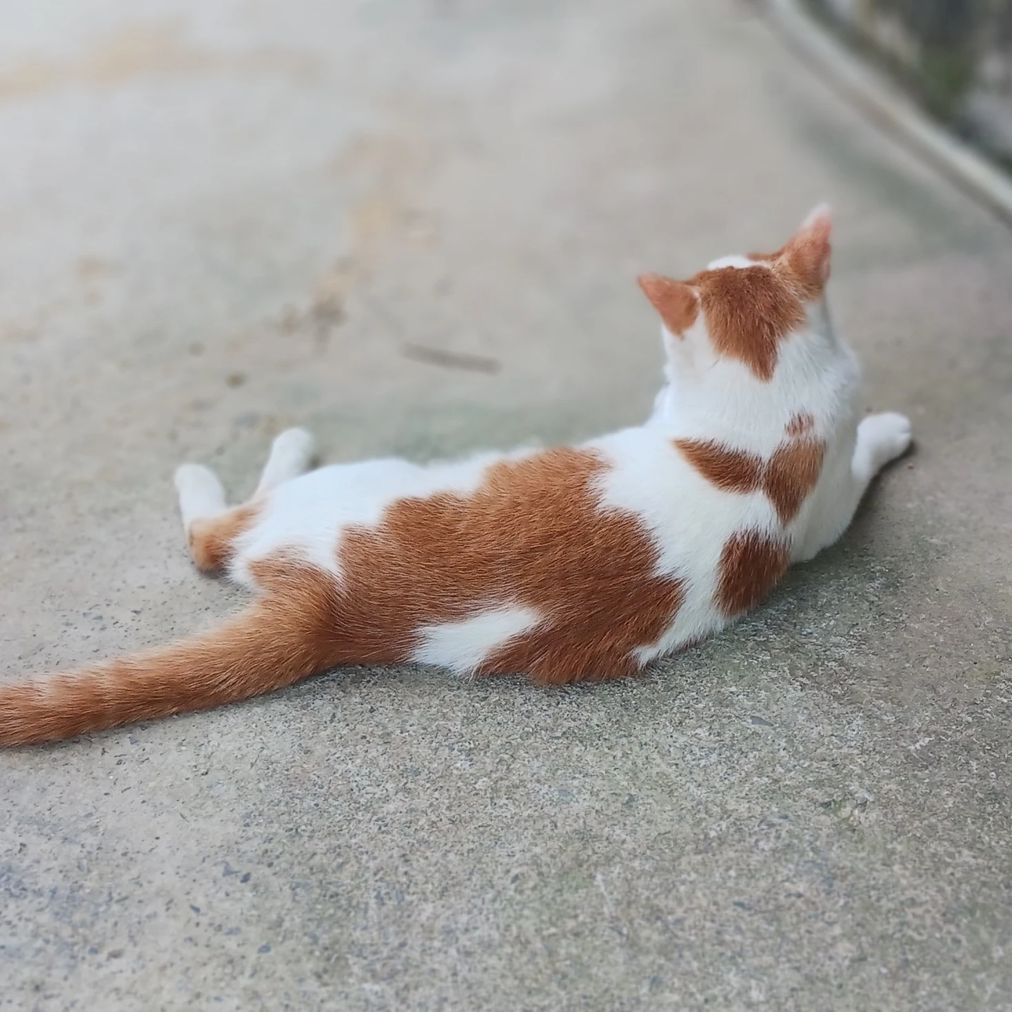 케데헌