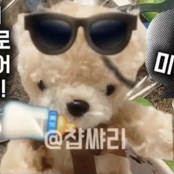 챱쌸브이로그 대표 이미지