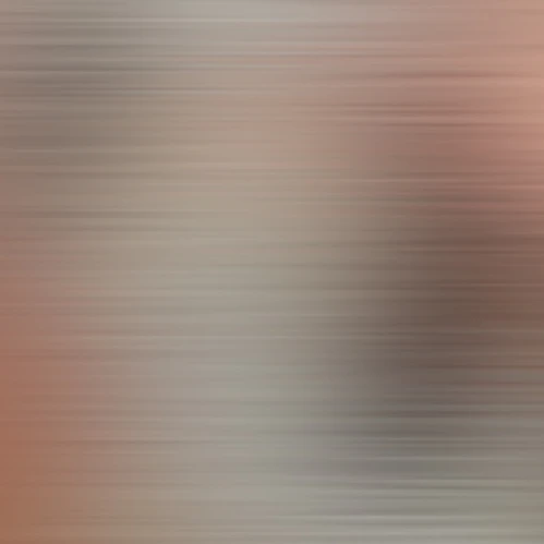 유지민
