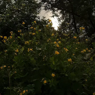 Profile image of 이상원