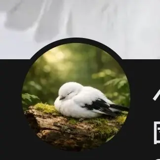 Profile image of Pelican