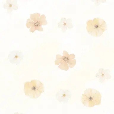 Profile image of 天城 海斗