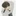 윤도진