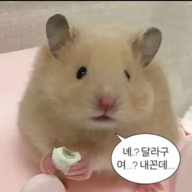 Profile image of 이동건