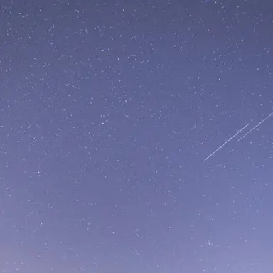 Profile image of 미수반2와 거울덕개