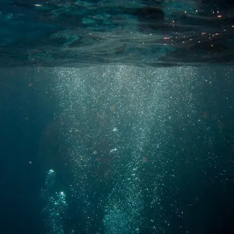 Asterum-Aliens_PLV의 물에 빠져 죽으면 인어가 된대.