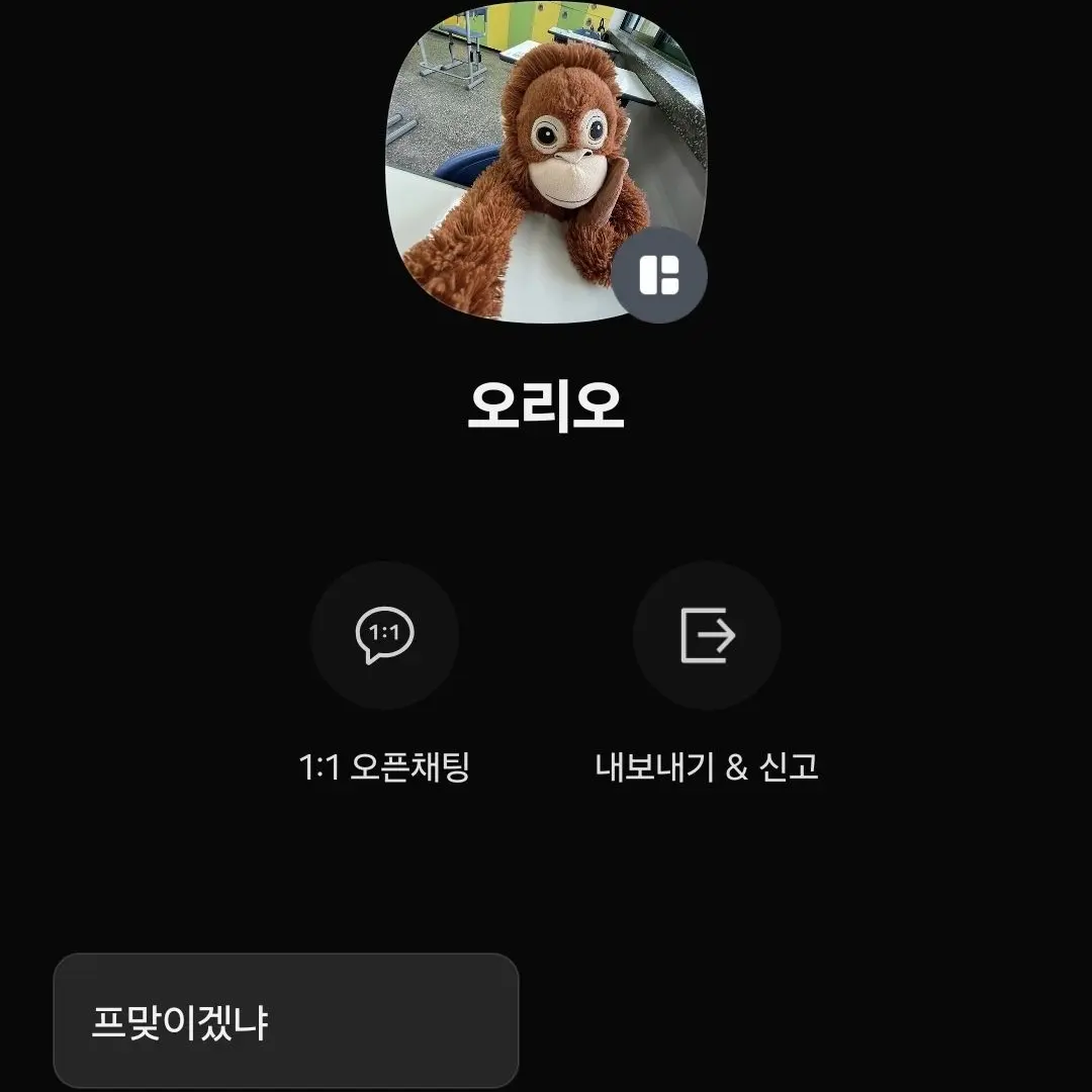 Ning-2의 오리 괴롭히긔(복수?용)