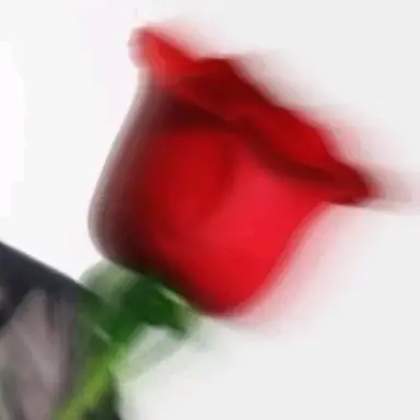 Profile image of 박지훈