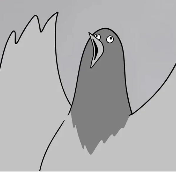 새대갈