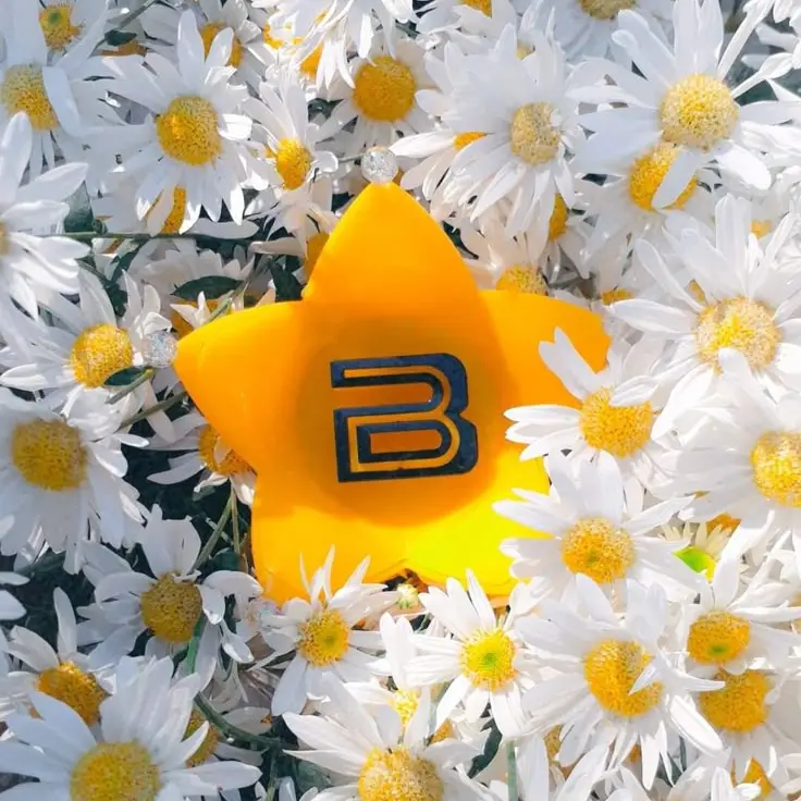 GD12345의 빅뱅 꼬시기 프로젝트