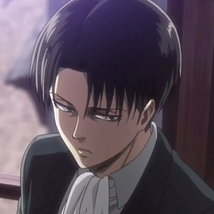 Levi0의 리바이 아커만