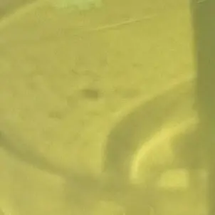 Profile image of 이은호