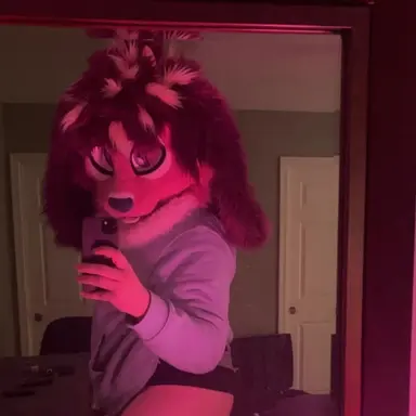 Profile image of Kayleigh