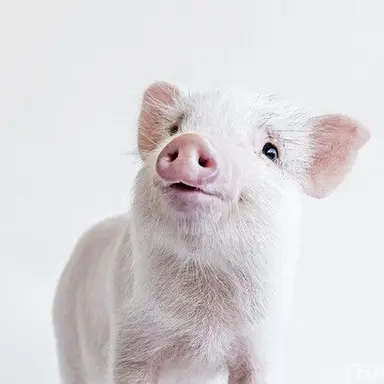 Profile image of 마키