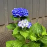 Profile image of .