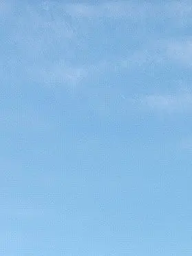 EliteOlm4326의 デンマークさん家にお邪魔します！