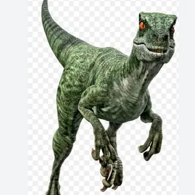 Profile image of 에코