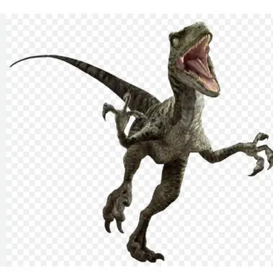 Profile image of 찰리