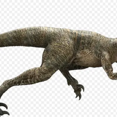 Profile image of 델타