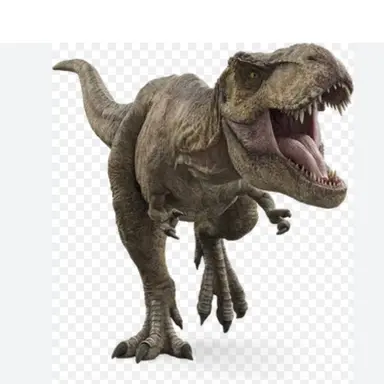 Profile image of 렉시