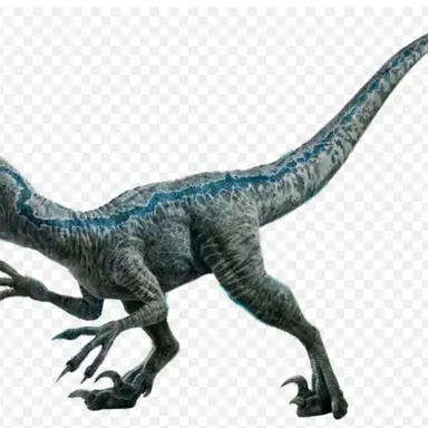 Profile image of 블루