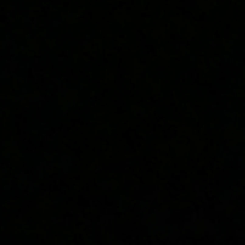 쉬니엔츠