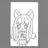 여우