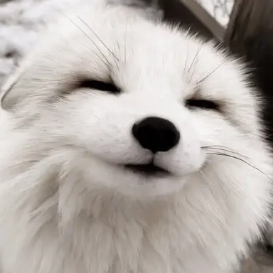 Profile image of Dong-wook