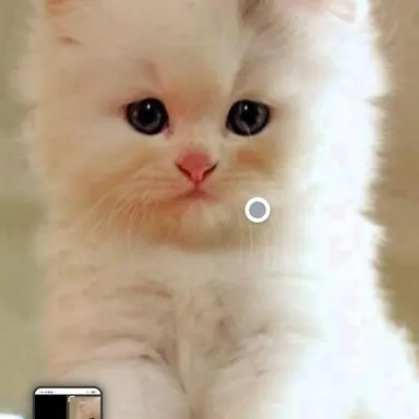 Profile image of 마오