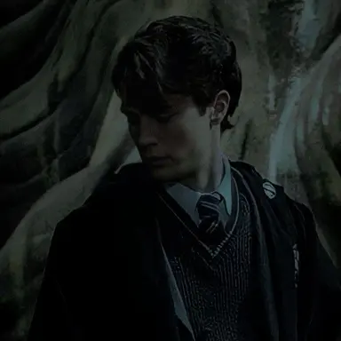 Profile image of tom riddle