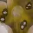 www