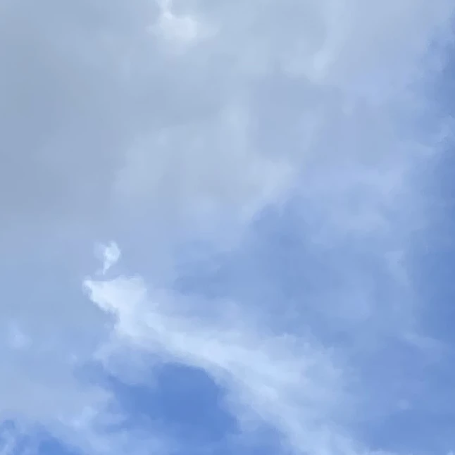 쌤