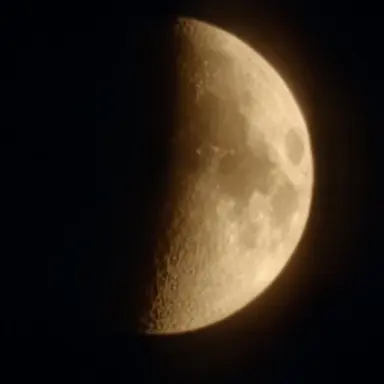 Profile image of 감제이