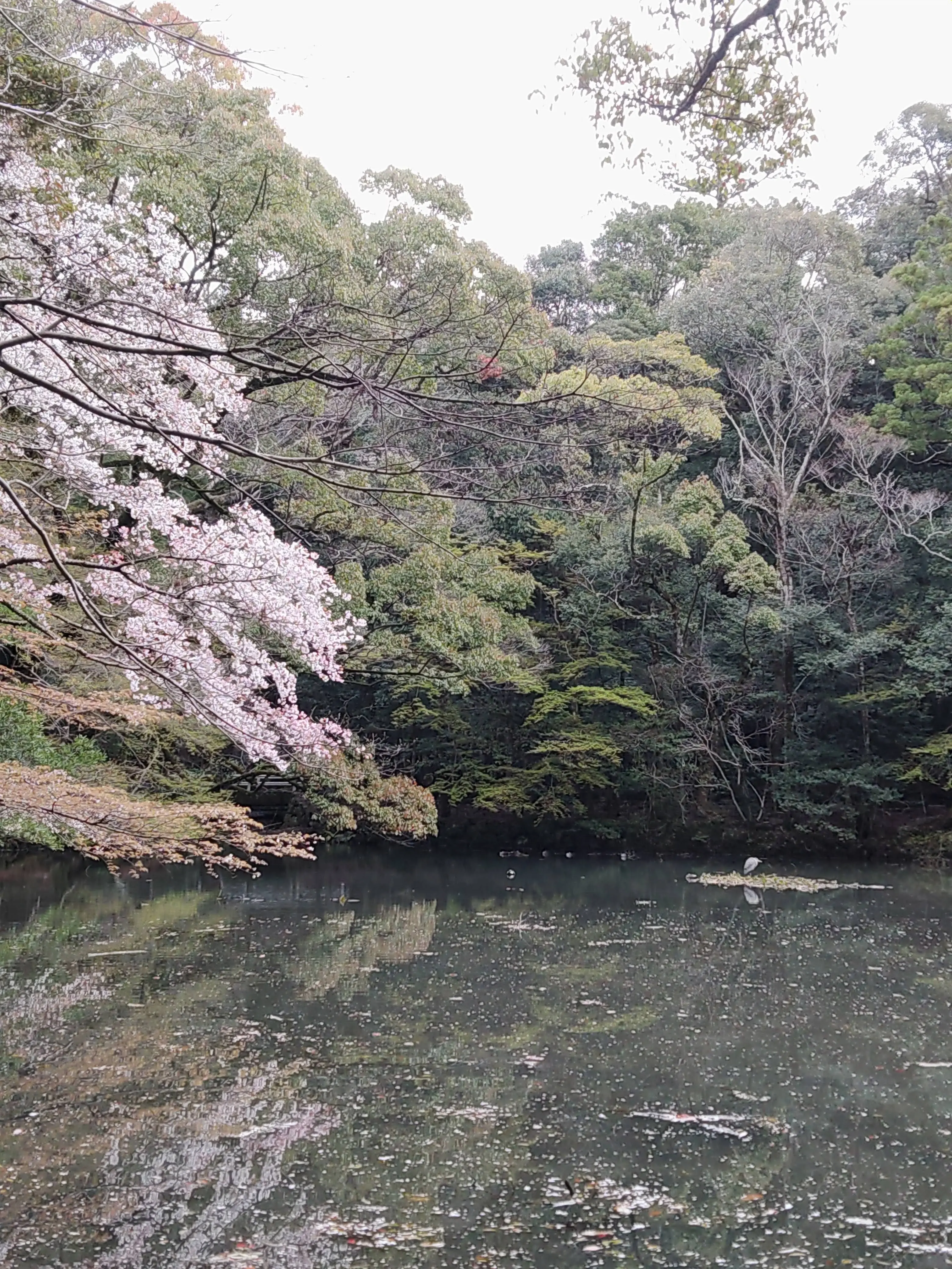 Kanata0849의 一番