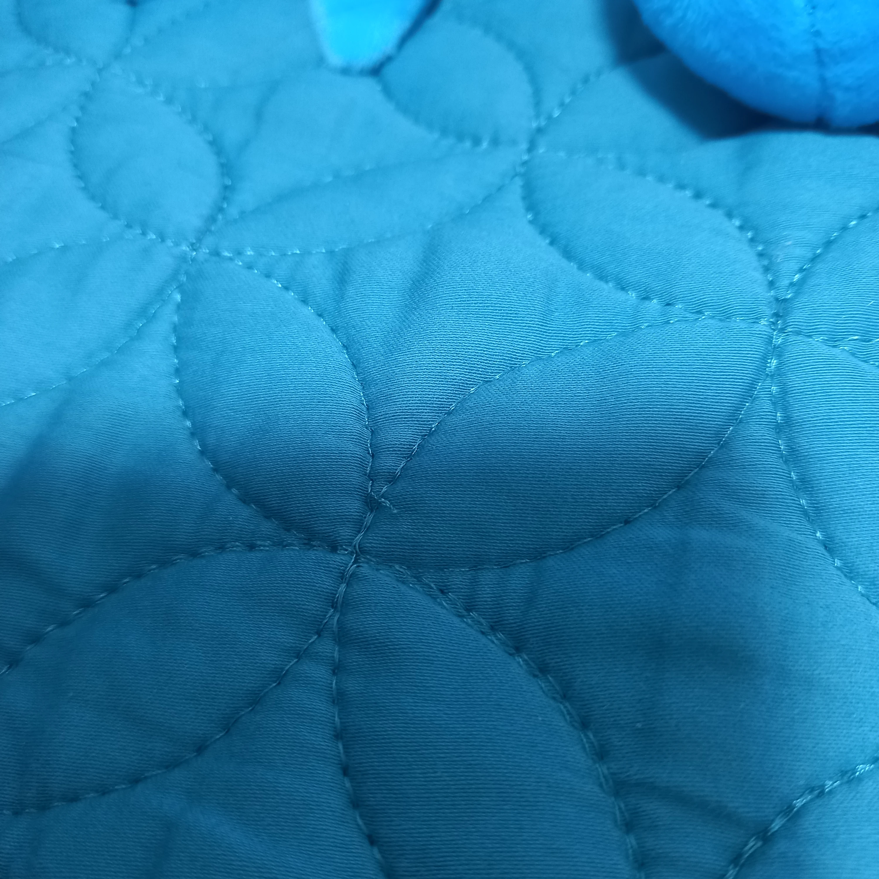 준브