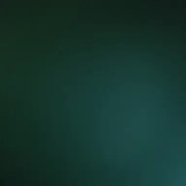 Profile image of 벨키